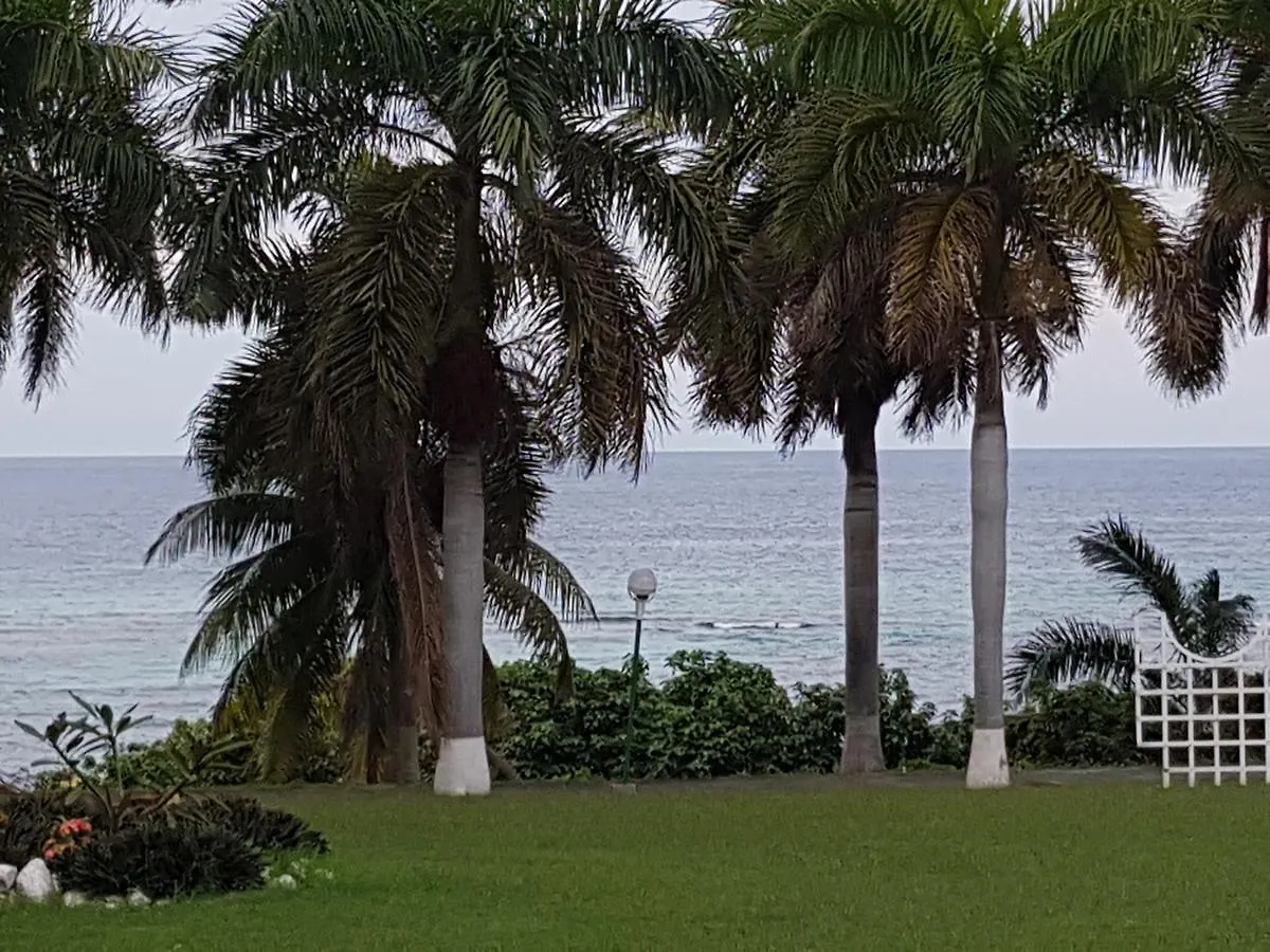 Apartmán Seacastle Super 15 Montego Bay
